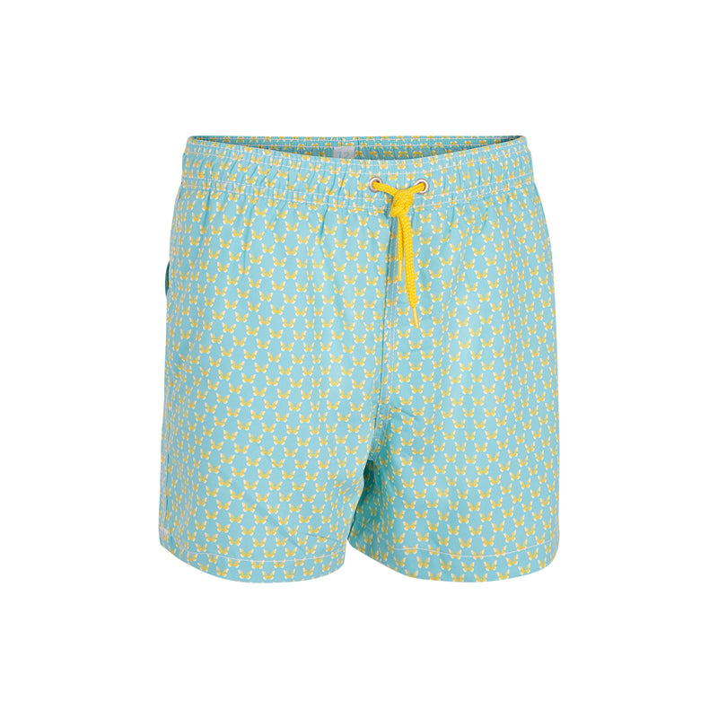 Traje de Baño niño Butterfly V.2 Turquesa/amarillo